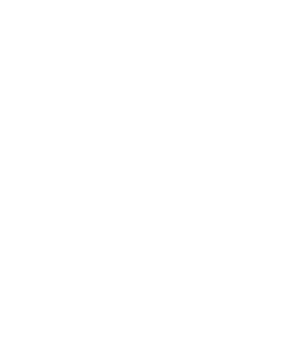 Logo Boutique Platine blanc